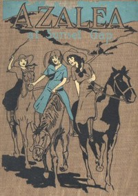 Cover of Azalea at Sunset Gap — A Closer Reading